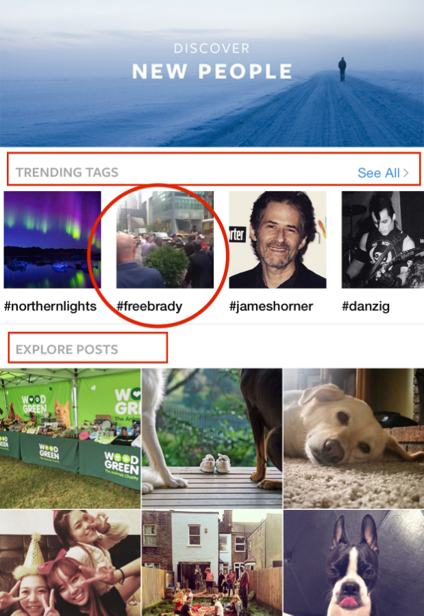 Instagram search and explore feature