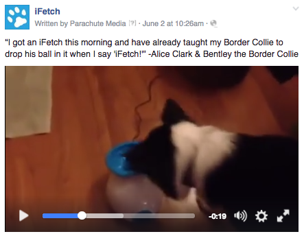 A customer shared her experience with her dog and the iFetch.