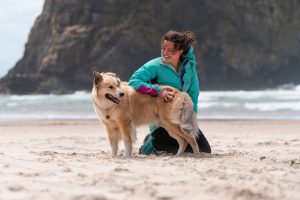 girl and her dog on the beach with the wind blowing