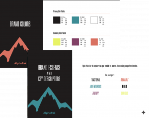 Defining a Brand: Alpha Pak Style Guide, brand colors and descriptors