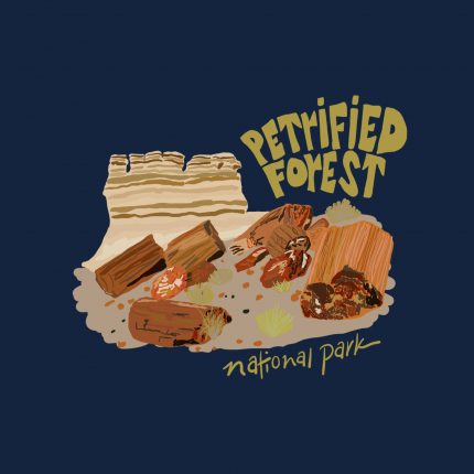 petrified-forest-copy