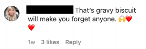A screenshot of an Instagram comment on the Booty Biscuit posts.